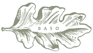 About | BASO